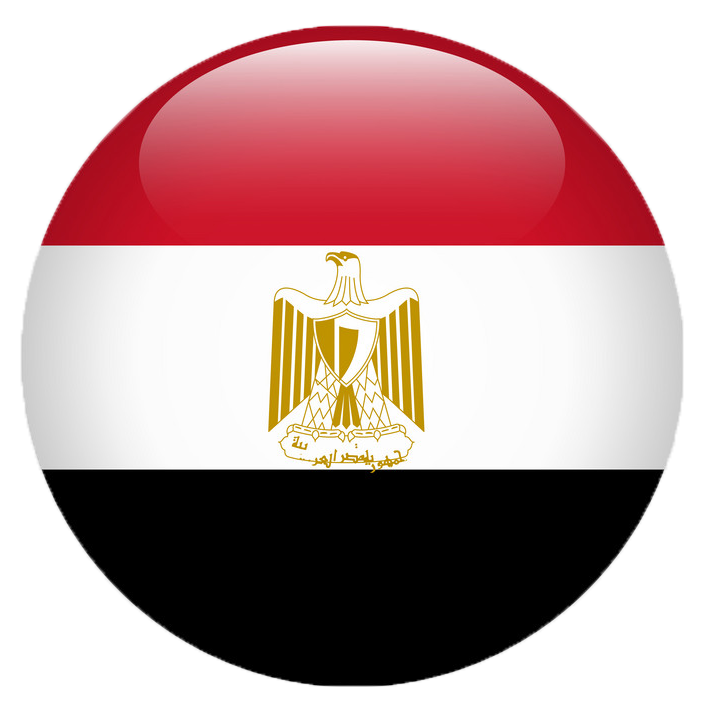 Leadership that Works India flag Egypt
